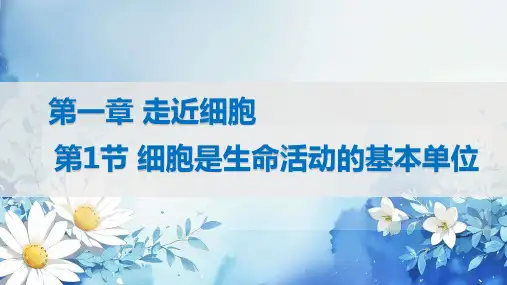 人教版2019高中生物必修一1.1细胞是生命活动的基本单位课件(共21张PPT)