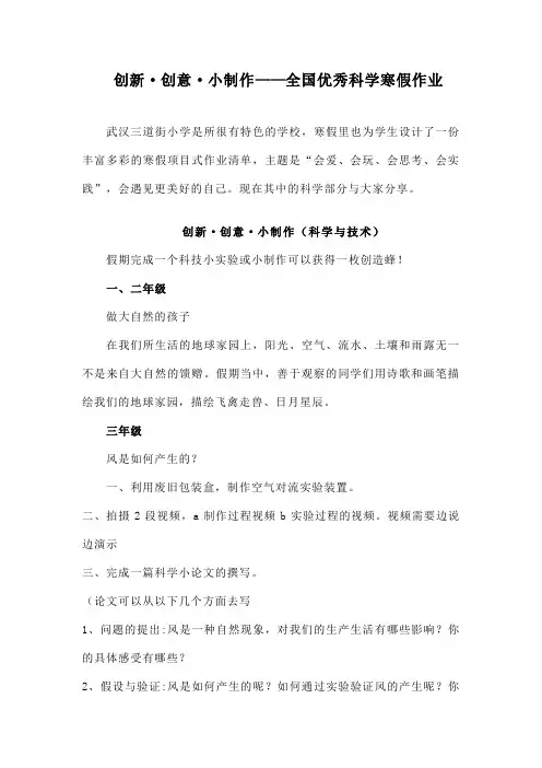 创新创意小制作——小学科学寒假作业