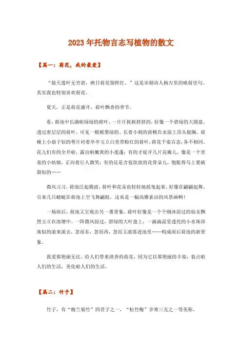 2023年托物言志写植物的散文
