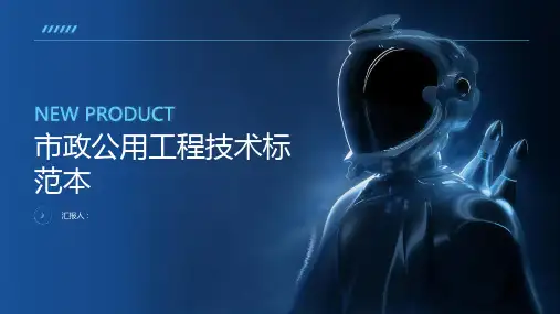 市政公用工程技术标范本