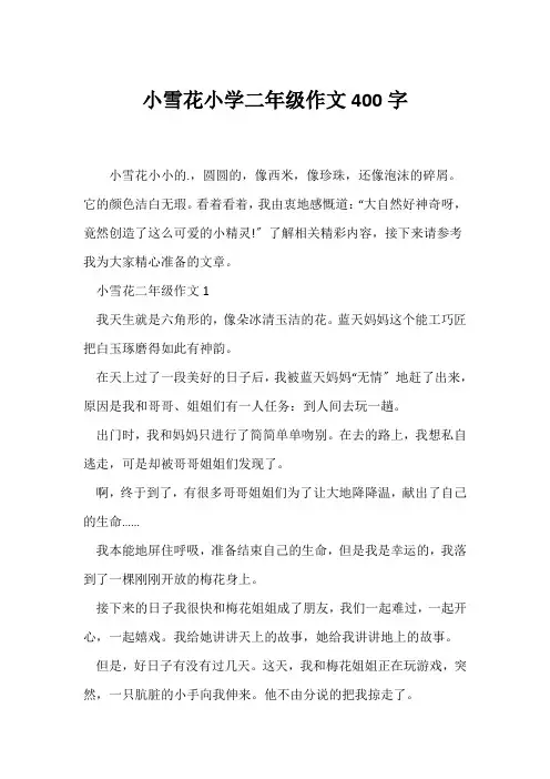 (小学二年级作文)小雪花小学二年级作文400字