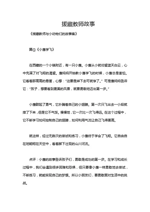 援藏教师故事