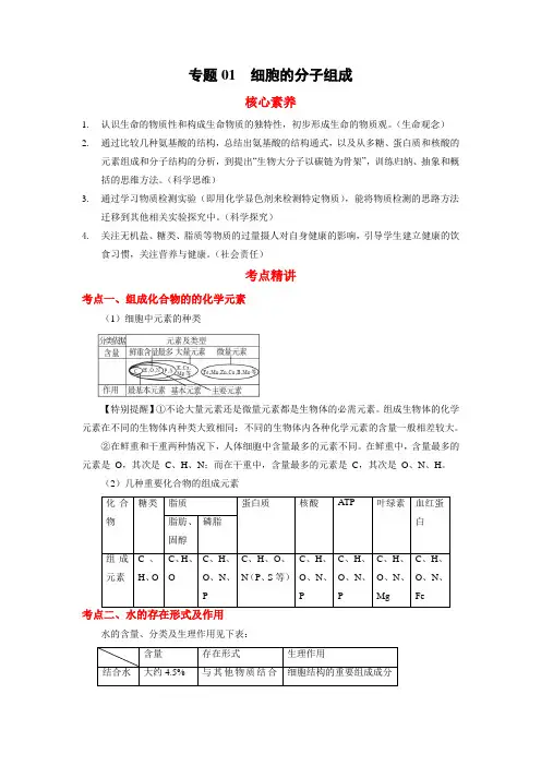 高考生物二轮复习核心考点 专题01 细胞的分子组成(含答案)