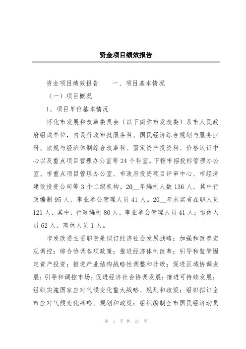 资金项目绩效报告