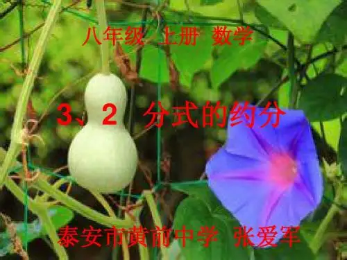 分式的约分PPT