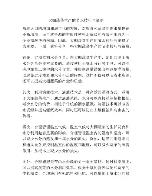 大棚蔬菜生产的节水技巧与策略
