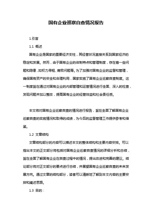 国有企业巡察自查情况报告