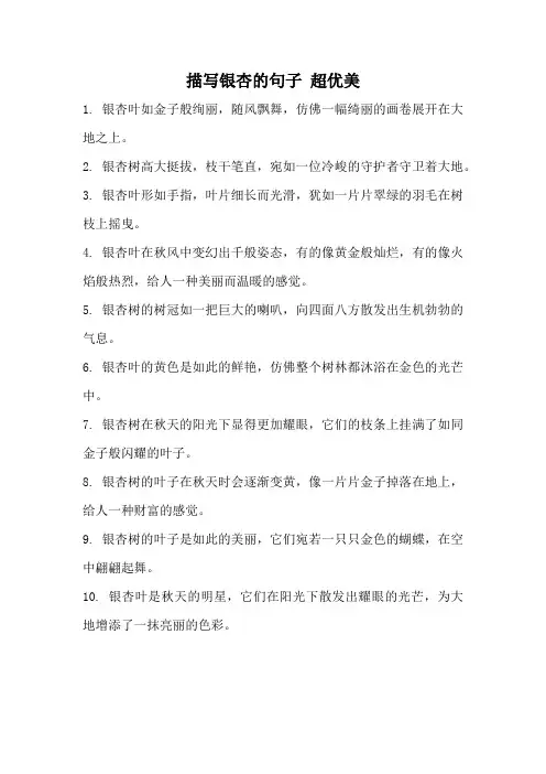 描写银杏的句子 超优美