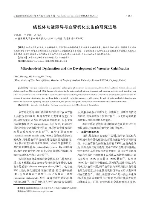 线粒体功能障碍与血管钙化发生的研究进展