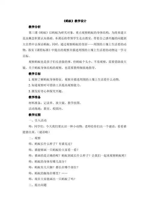 大象版小学科学一年级上册教案附教学反思《蚂蚁》教学设计