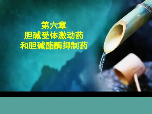 药理学 第6章  胆碱受体激动药和胆碱酯酶抑制药