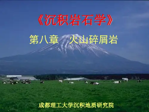 火山碎屑岩