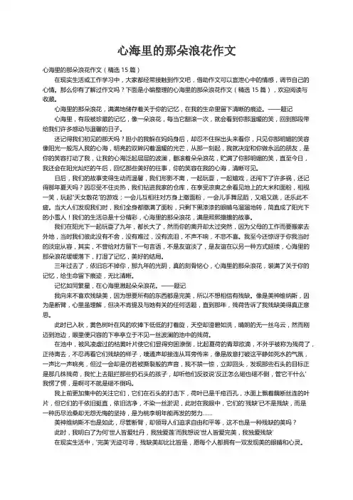 心海里的那朵浪花作文（精选15篇）
