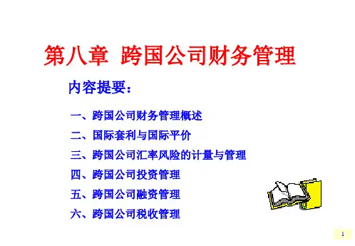 财务管理跨国公司财务管理ppt课件
