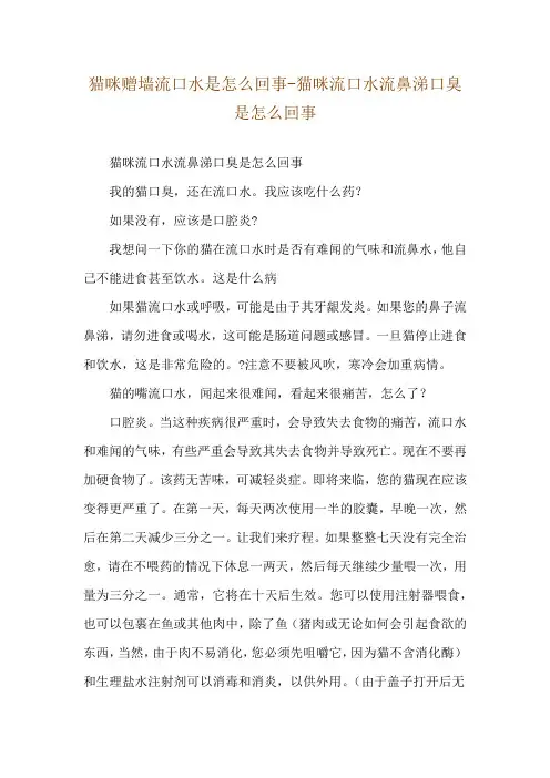 猫咪赠墙流口水是怎么回事-猫咪流口水流鼻涕口臭是怎么回事