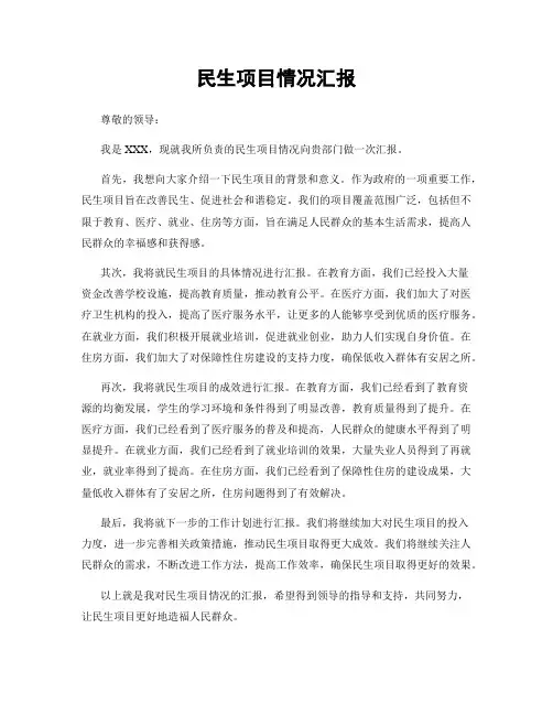 民生项目情况汇报