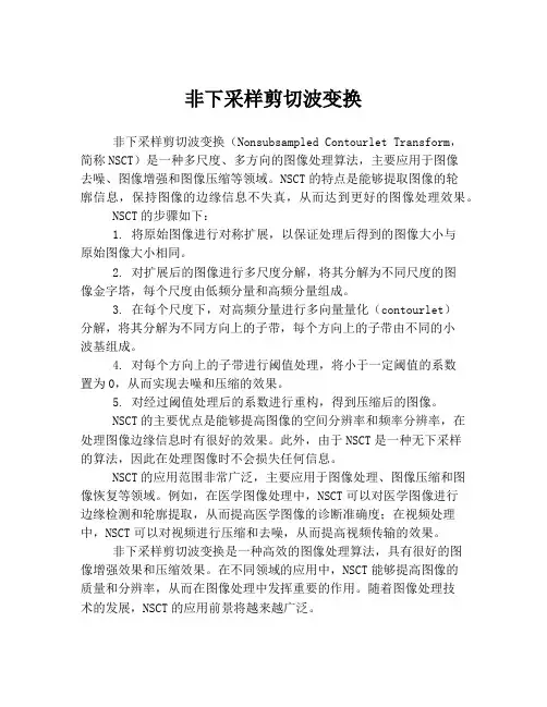 非下采样剪切波变换