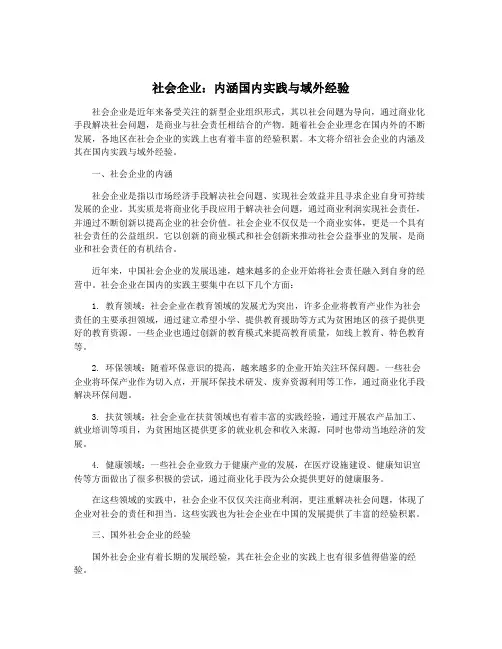 社会企业：内涵国内实践与域外经验
