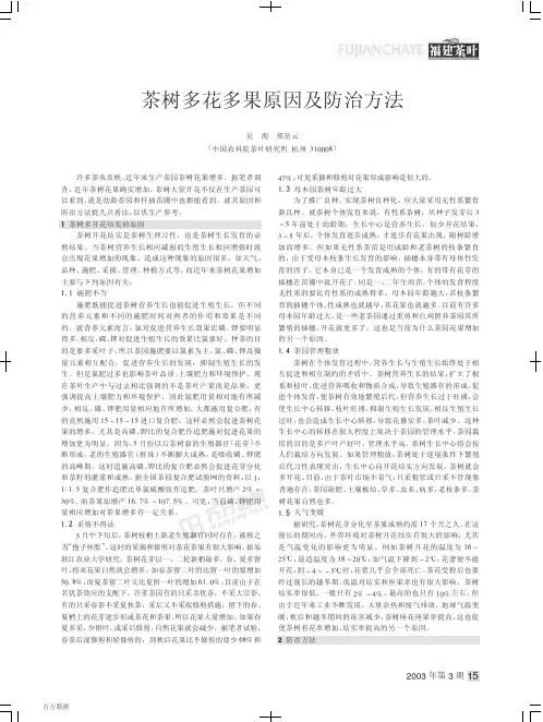 茶树多花多果原因及防治方法