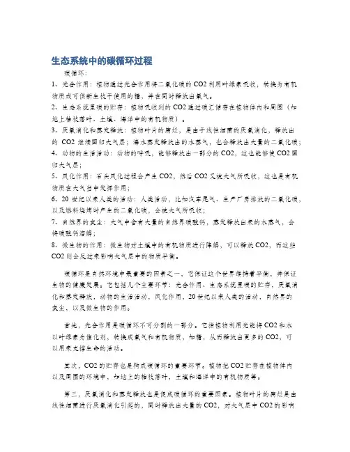 生态系统中的碳循环过程