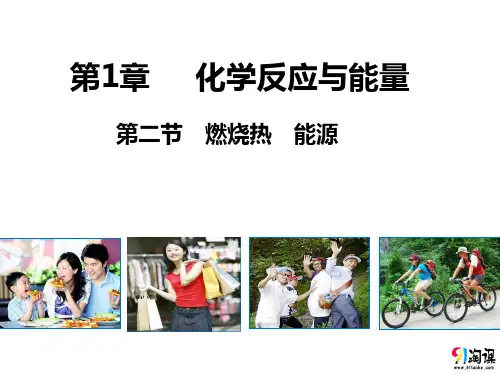 课件3：1.2  燃烧热　能源