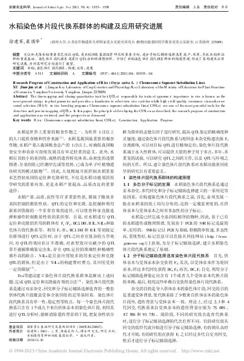 水稻染色体片段代换系群体的构建及应用研究进展