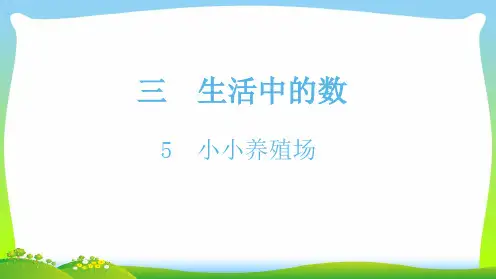 北师大版一年级下册数学课件-5小小养殖场(共12张PPT)