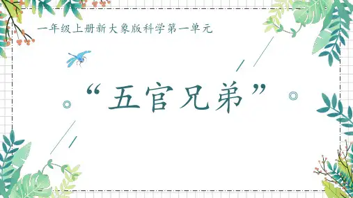 大象版科学一年级上册 1 “五官“”兄弟 课件(共20张PPT)