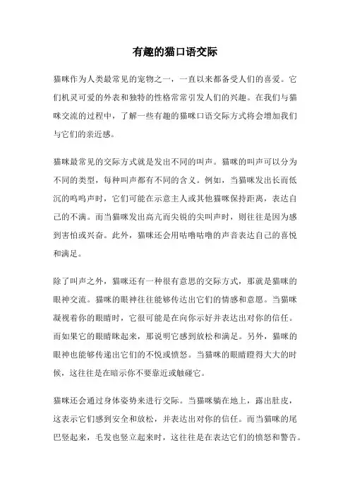 有趣的猫口语交际