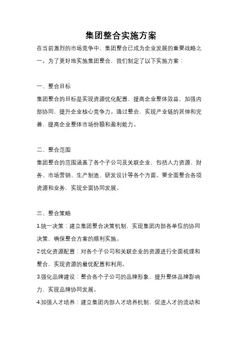 集团整合实施方案