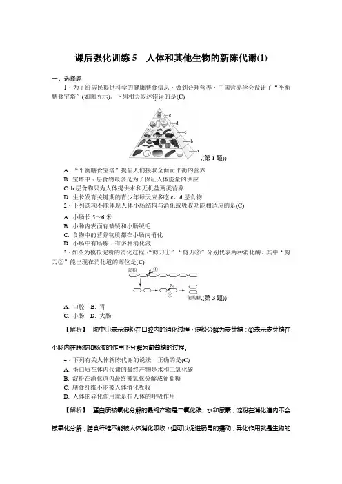 课后强化训练5 人体和其他生物的新陈代谢(1)