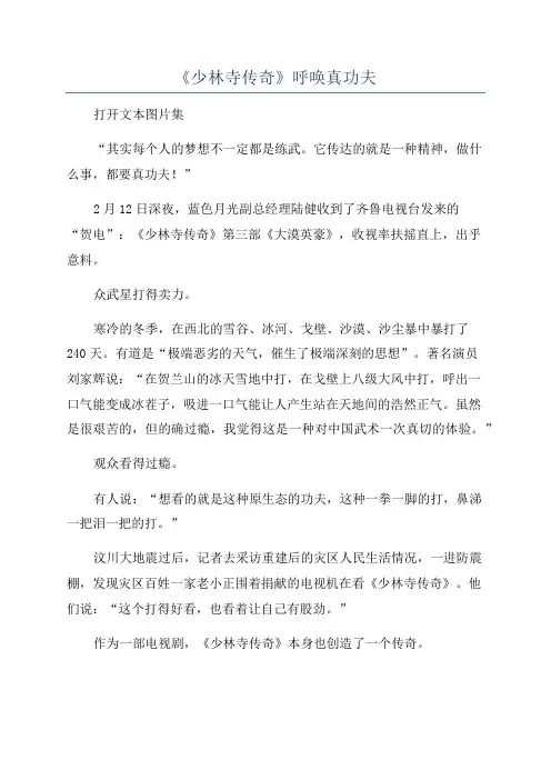 《少林寺传奇》呼唤真功夫