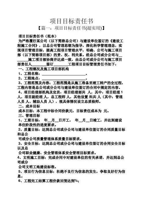 项目目标责任书