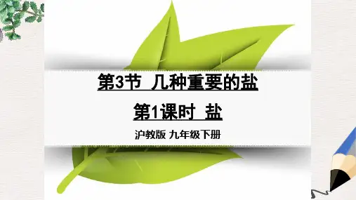 九年级化学下册第七章应用广泛的酸碱盐第3节几种重要的盐第1课时盐同课异构课件1沪教版