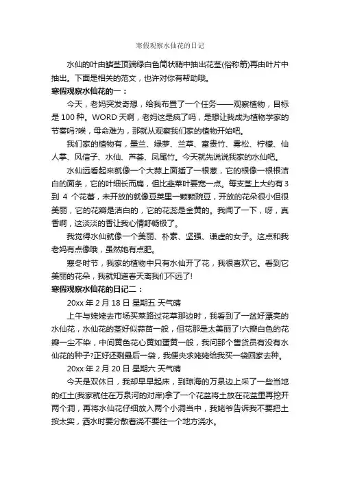 寒假观察水仙花的日记_观察日记