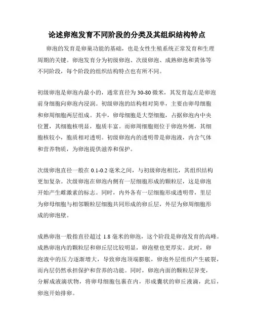 论述卵泡发育不同阶段的分类及其组织结构特点