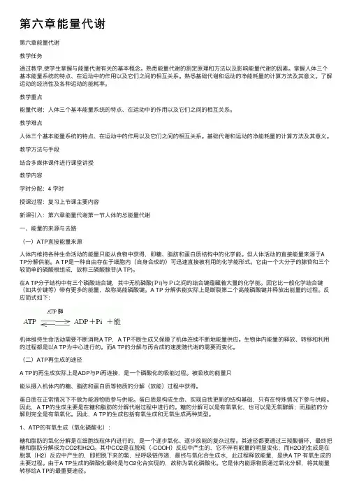 第六章能量代谢