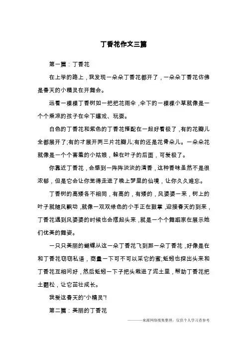 丁香花作文三篇