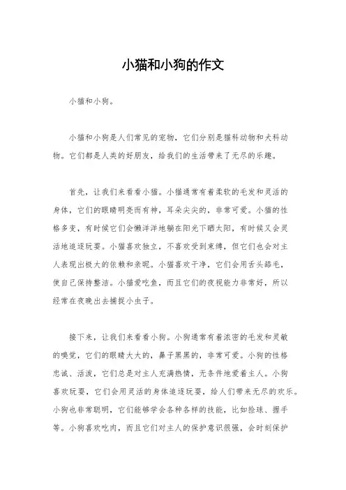 小猫和小狗的作文