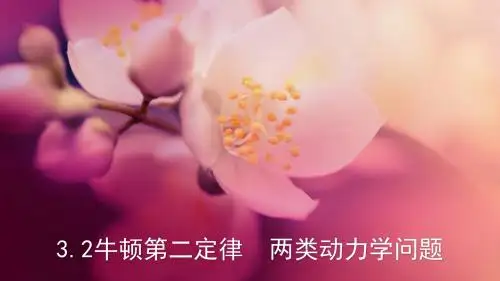 2019年高考物理专题精讲3.2牛顿第二定律 两类动力学问题