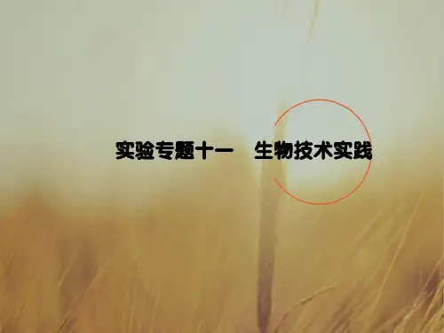 2018届高三生物二轮高考专题辅导与训练课件第一部分 专题整合篇专题十一 生物技术实践