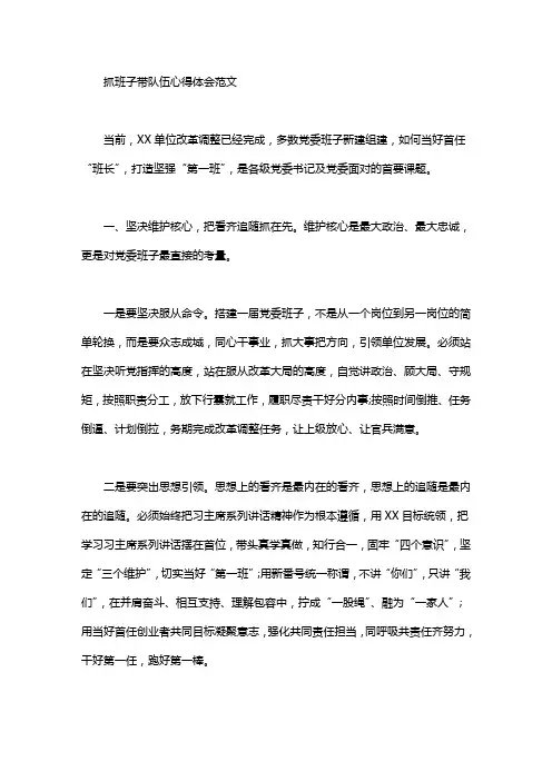 抓班子带队伍心得体会范文