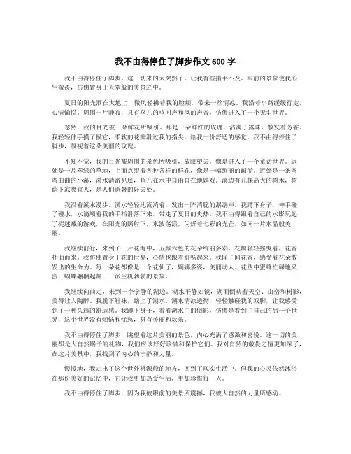 我不由得停住了脚步作文600字