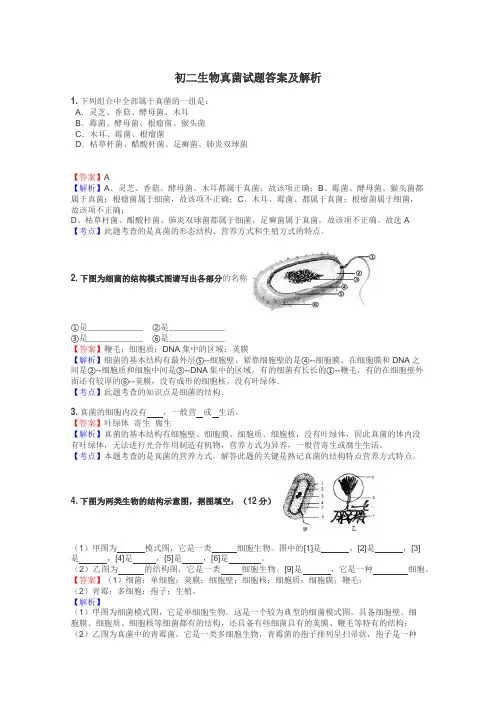 初二生物真菌试题答案及解析
