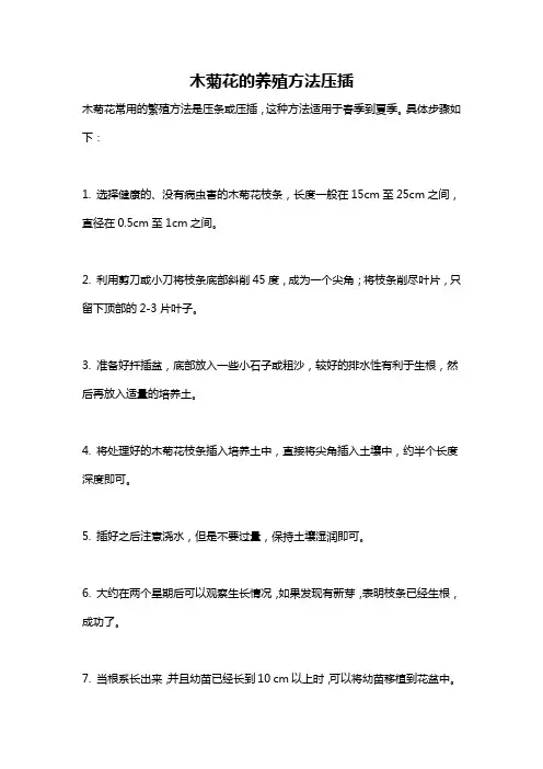 木菊花的养殖方法压插