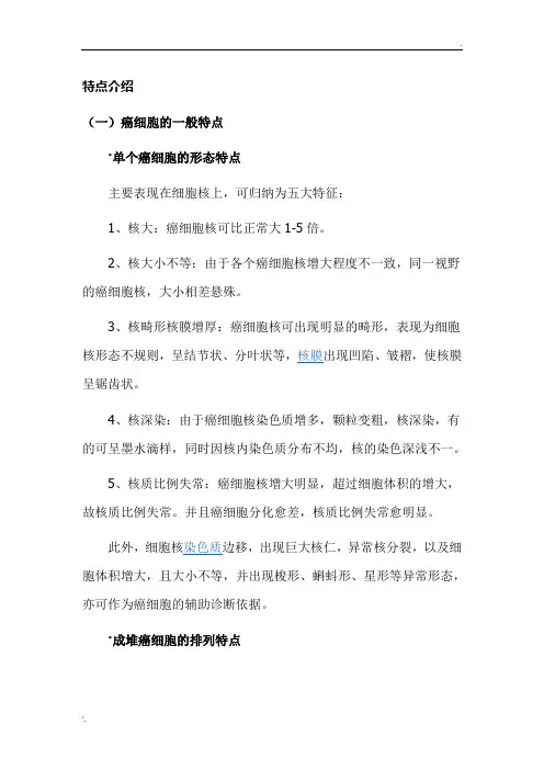 癌细胞的特点