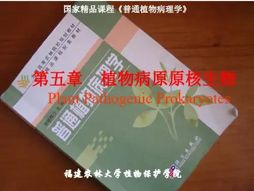 第五章-植物病原原核生物