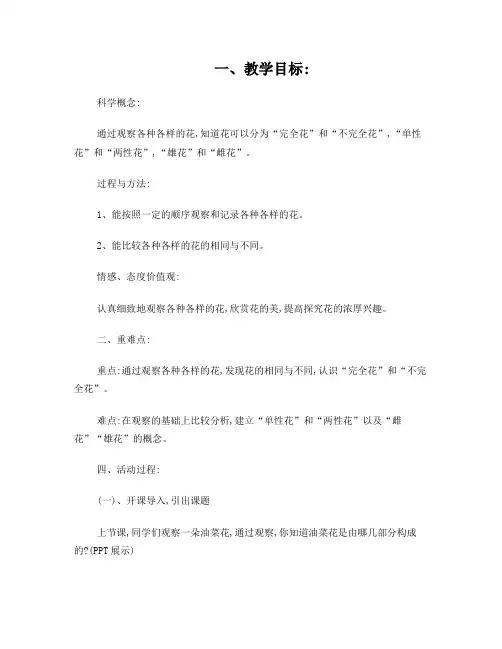 各种各样的花教案