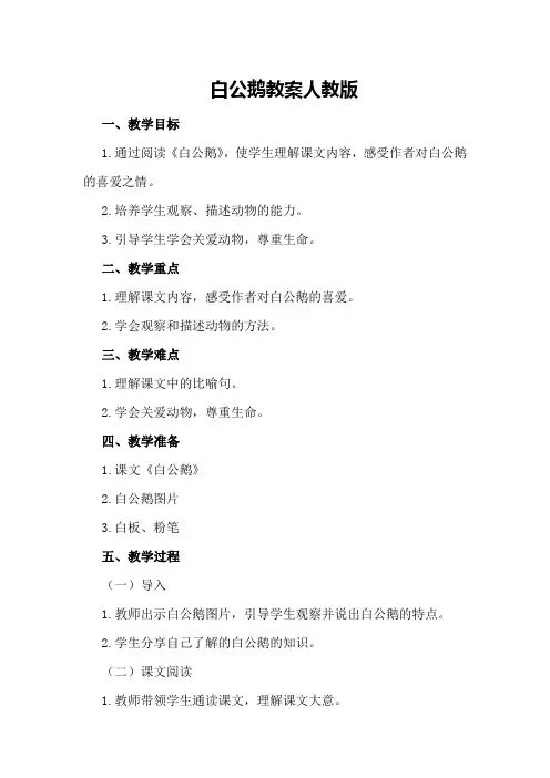 白公鹅教案人教版