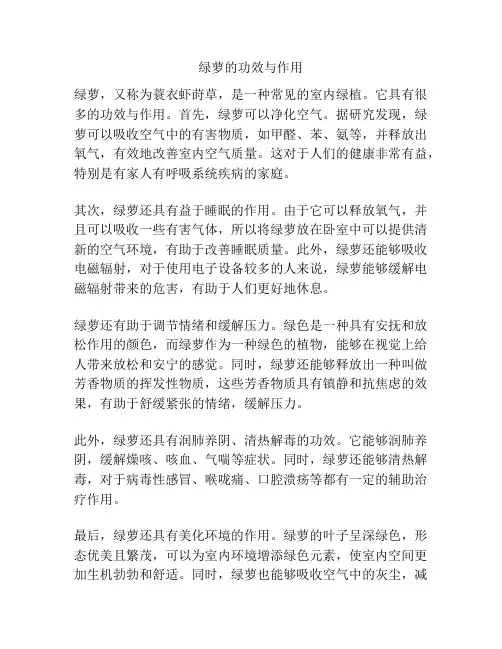 绿萝的功效与作用